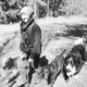 dogwalking